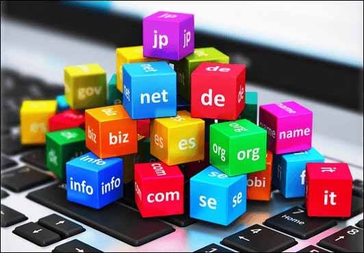 網站域名