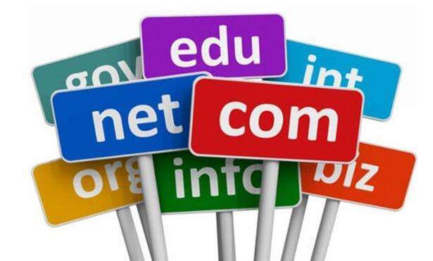 網站域名 網站域名